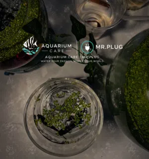 AQUARIUM CARE 