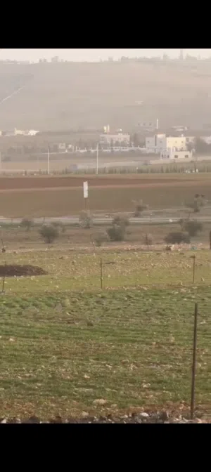 Farm Land for Sale in Mafraq Rhab