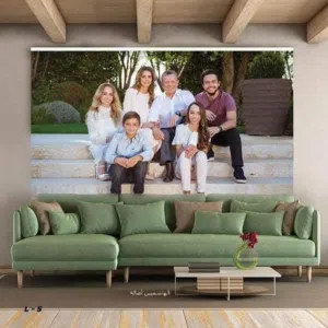 برادي زيبرا تركي وكوري مكفول