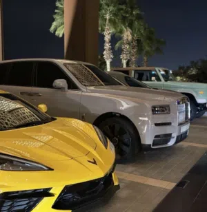 داوود الشحي 