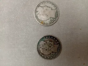 دوار أمريكي فضة 1901/1906