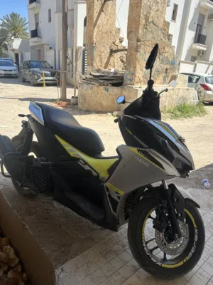 155 2025 سعر كزيوني