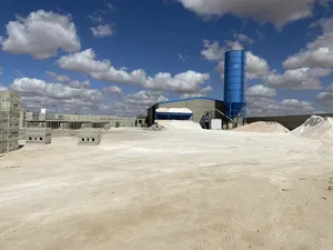 6000 m2 . Landlord2