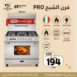 فرن ناشونال سونيك الشبح