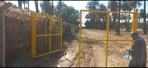 Farm Land for Sale in Wasit Suwayrah