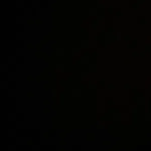 سيرينا عبد الرزاق حسن الحودة 