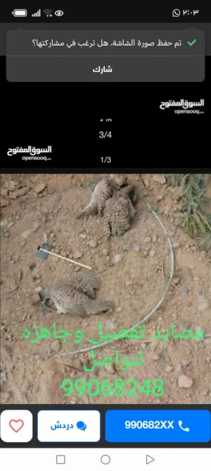 مصايد طيور فعاله وامورنا طيبة