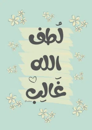 رضا باسم محمد 