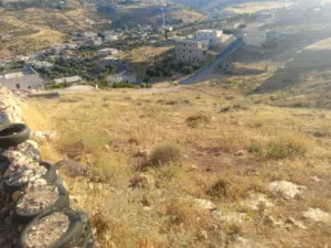 Mixed Use Land for Sale in Zarqa Um Rummanah