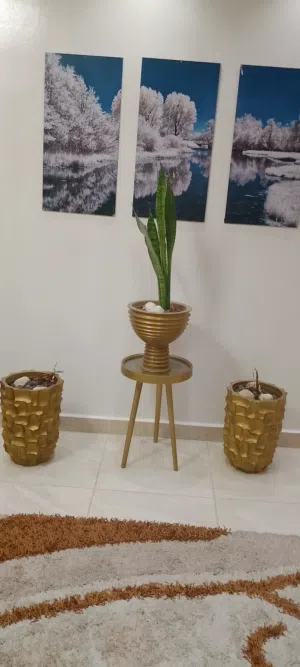 احواض زراعه فاخره عدد 3 للبيع