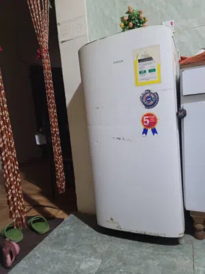 ثلاجة سامسونج RA19PTSW