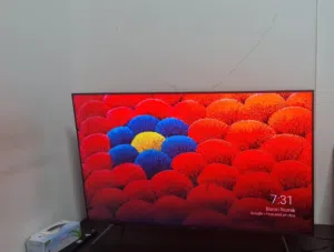 Samsung 55 Inch TV