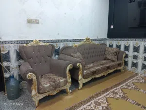 تخم قنفات للبيع في البصره