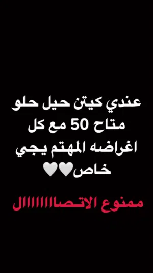 قطو صغير عمره شهر ونص يهبل مع اغراضه والتوصيل علينا ليس للتبني50 kd