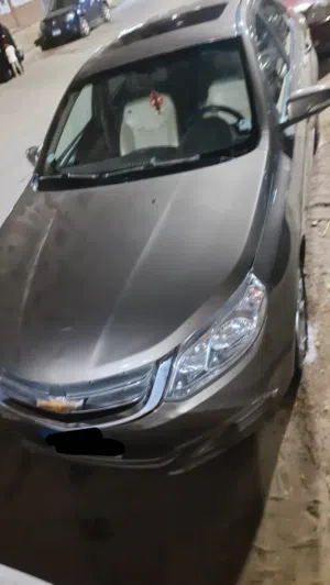 .نيو اوبترا 2019