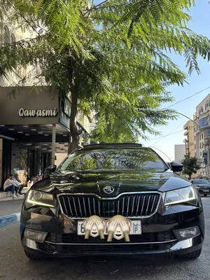 used-skoda-superb-in-hebron