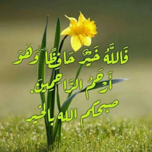 اياد القيسي القيسي