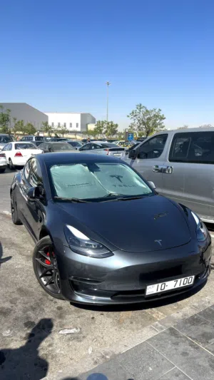 Tesla model 3 performance 2021