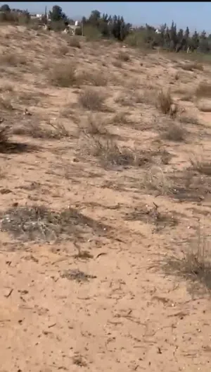 قطعة ارض للبيع