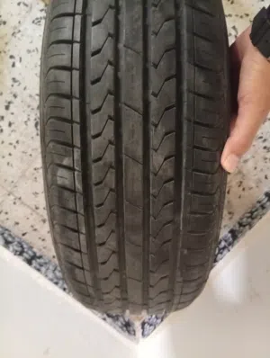 عندي عجل جدد إستيراد انت وحظك ارفع اول قومستي شوف ورجع فيه الي ركب طول وفيه اللي تبي لحم او كمردالية