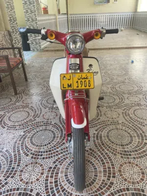 دراج للبيع أموره طيبة