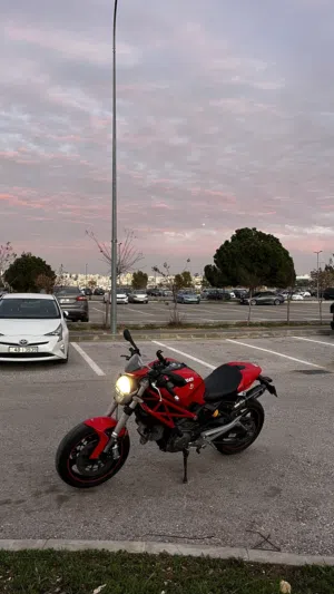 Ducati monster 696 2014 للبيع