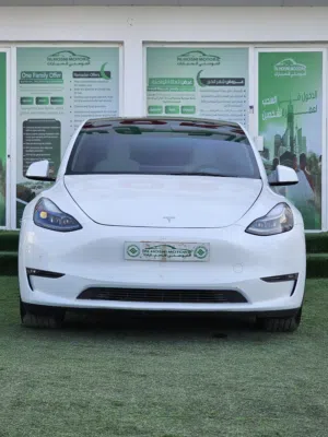 Used Tesla Model Y in Muscat
