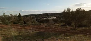 Mixed Use Land for Sale in Nabeul Other