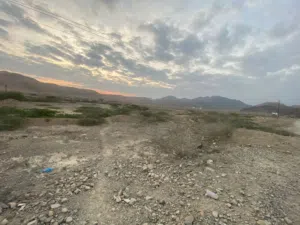 Farm Land for Sale in Hadhramaut Fuwwah