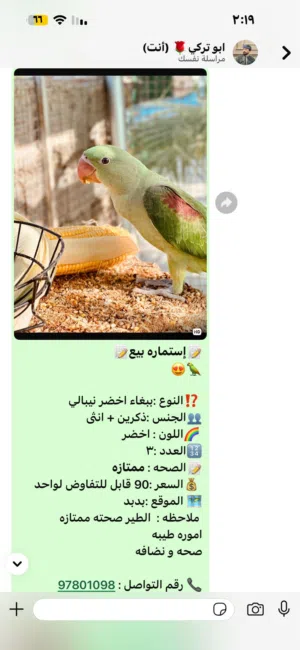 للبيع متوه نيبالي ب90 وسلفر 65 والاخضر زوج ب35