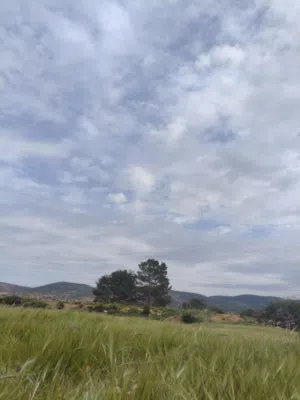 Mixed Use Land for Sale in Tocra Other