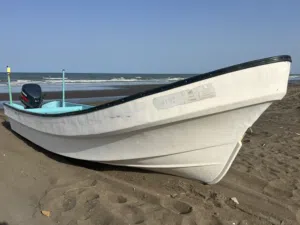 قارب 25ياماها مع مكينه 115ياماها بدون ملكيه