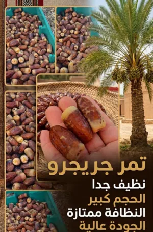 تمر جريجرو
