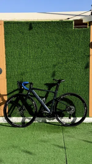 Cycle Winner