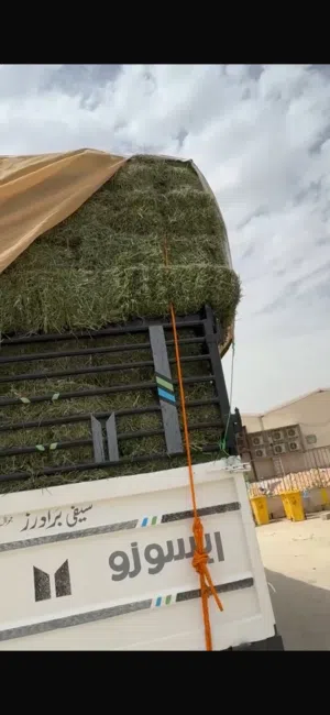 ساجر برسیم