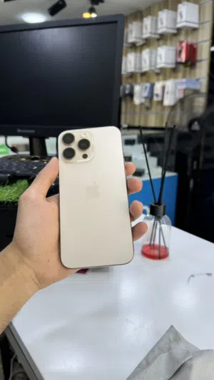 16 pro max