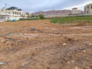دنم ارض  بسعر لقطه