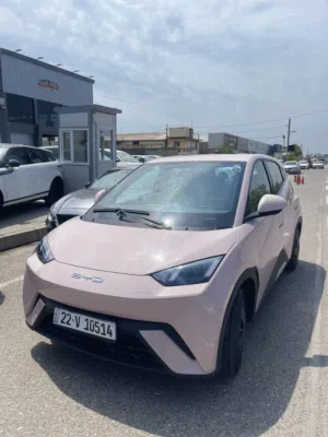 Byd seagull 2024