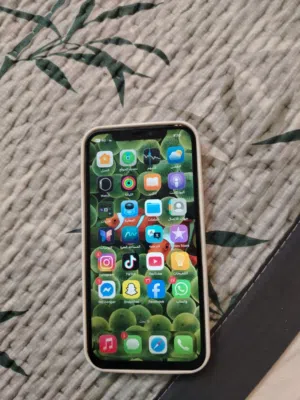 Apple iPhone 12 Pro 256 GB in Basra
