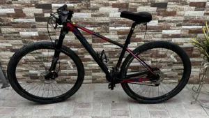 Java Vetta mountain bike