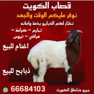 قصاب الكويت 