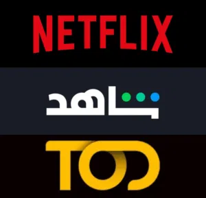 Netflix Accounts and Characters for Sale in Muscat