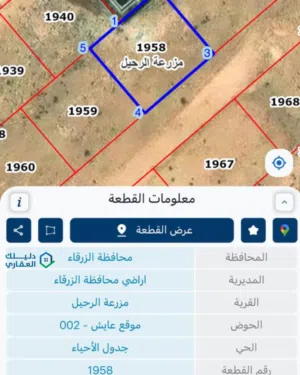 أراضي للبيع ضاحية البستان قرب دوار معصوم – مساحات 500–600م – أسعار تبدأ 22,000 ومن الماااالك مباشرة