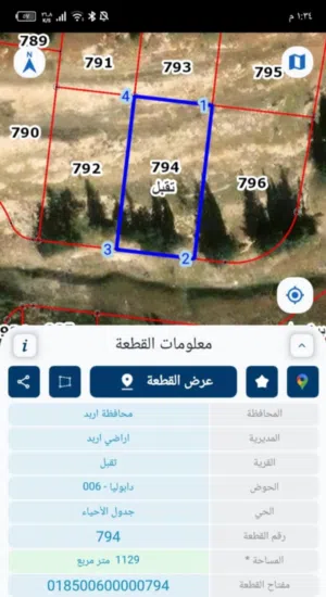 Mixed Use Land for Sale in Irbid Al Barha
