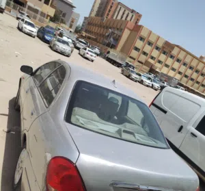 نسيان صني 2005
