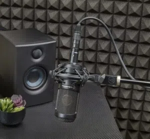 Audio-Technica AT2035 Cardioid Condenser Microphone with Custom Shock Mount