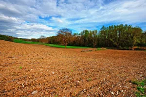 مطلوب قطعة أرض طريق المطار عالرئيسي