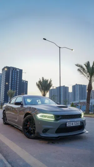 تشارجر R/T max 2019