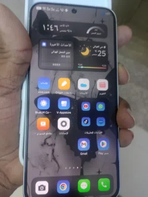 النسخه الصينيه vivo x300 pro