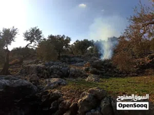 Residential Land for Sale in Salfit Pedaya